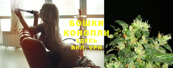 МДПВ Богородицк