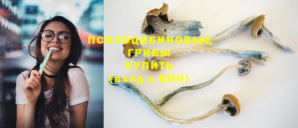 скорость Богданович