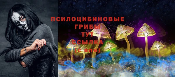 скорость Богданович