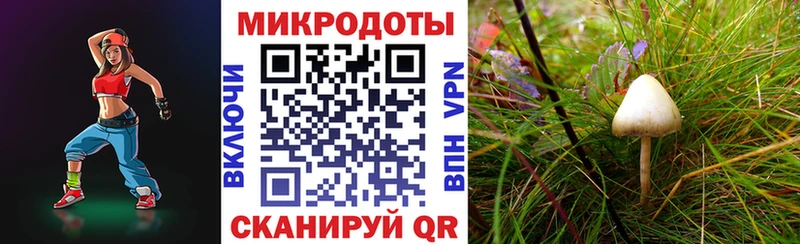 Галлюциногенные грибы прущие грибы  Дигора 